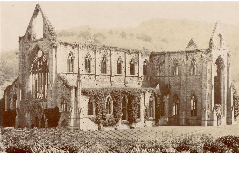 Tintern Abbey – a large postcard of the main building, perhaps taken 1900-10